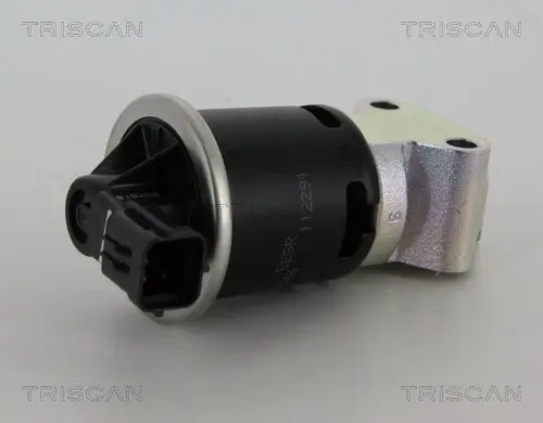 AGR-Ventil TRISCAN 8813 21008 Bild AGR-Ventil TRISCAN 8813 21008
