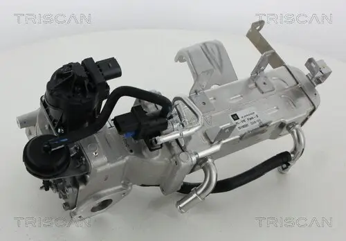 AGR-Ventil TRISCAN 8813 21010