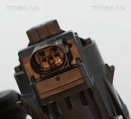 AGR-Ventil TRISCAN 8813 21010 Bild AGR-Ventil TRISCAN 8813 21010