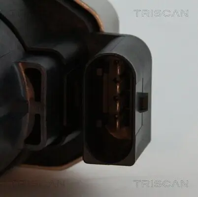 AGR-Ventil TRISCAN 8813 23006 Bild AGR-Ventil TRISCAN 8813 23006