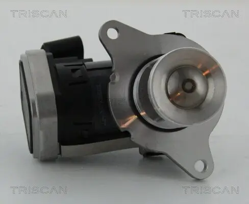 AGR-Ventil TRISCAN 8813 23006 Bild AGR-Ventil TRISCAN 8813 23006