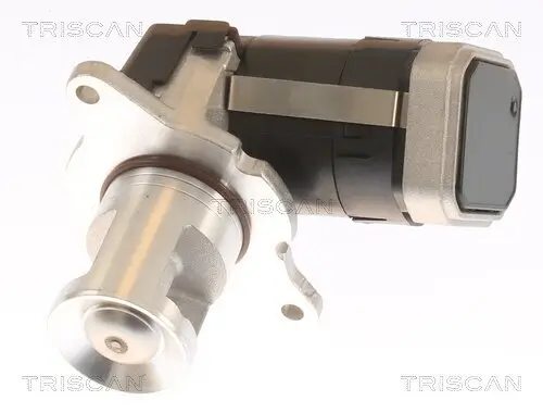 AGR-Ventil TRISCAN 8813 23036