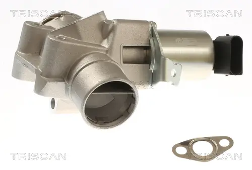 AGR-Ventil TRISCAN 8813 23044