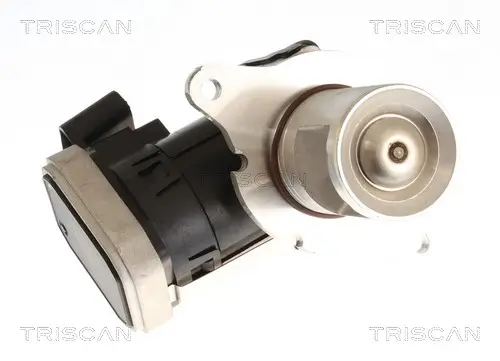 AGR-Ventil TRISCAN 8813 23045 Bild AGR-Ventil TRISCAN 8813 23045