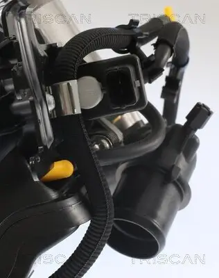 AGR-Ventil TRISCAN 8813 24007 Bild AGR-Ventil TRISCAN 8813 24007