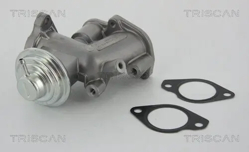 AGR-Ventil TRISCAN 8813 24031 Bild AGR-Ventil TRISCAN 8813 24031