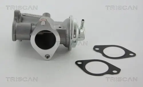 AGR-Ventil TRISCAN 8813 24031 Bild AGR-Ventil TRISCAN 8813 24031