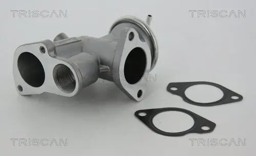 AGR-Ventil TRISCAN 8813 24031 Bild AGR-Ventil TRISCAN 8813 24031