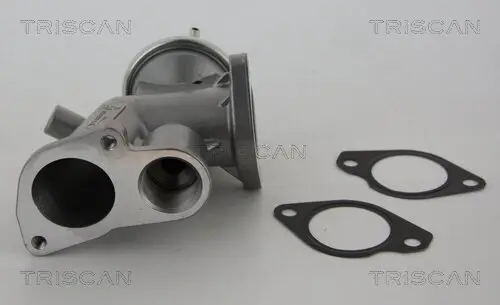 AGR-Ventil TRISCAN 8813 24031 Bild AGR-Ventil TRISCAN 8813 24031