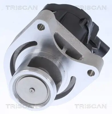 AGR-Ventil TRISCAN 8813 24084 Bild AGR-Ventil TRISCAN 8813 24084