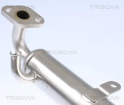 Kühler, Abgasrückführung TRISCAN 8813 24106 Bild Kühler, Abgasrückführung TRISCAN 8813 24106