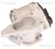 AGR-Ventil TRISCAN 8813 25012