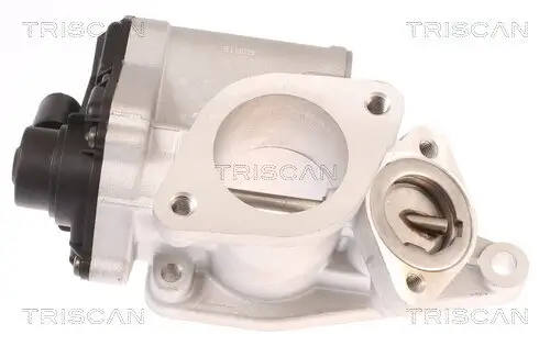 AGR-Ventil TRISCAN 8813 25012 Bild AGR-Ventil TRISCAN 8813 25012