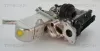 AGR-Ventil TRISCAN 8813 25013