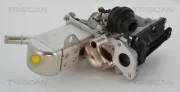 AGR-Ventil TRISCAN 8813 25013