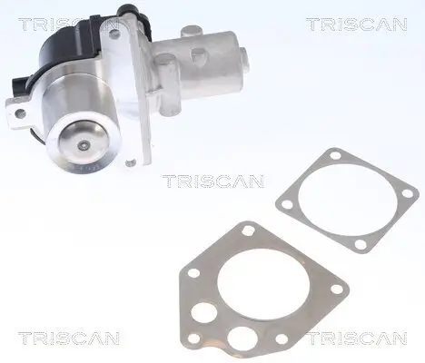 AGR-Ventil TRISCAN 8813 25036 Bild AGR-Ventil TRISCAN 8813 25036