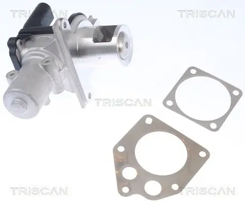 AGR-Ventil TRISCAN 8813 25036 Bild AGR-Ventil TRISCAN 8813 25036