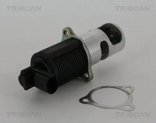 AGR-Ventil TRISCAN 8813 25038 Bild AGR-Ventil TRISCAN 8813 25038