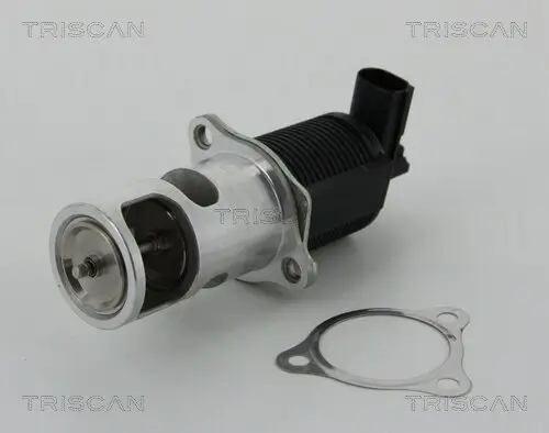 AGR-Ventil TRISCAN 8813 25038 Bild AGR-Ventil TRISCAN 8813 25038