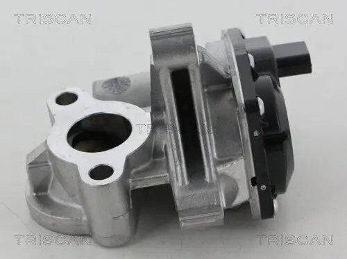 AGR-Ventil TRISCAN 8813 25041 Bild AGR-Ventil TRISCAN 8813 25041