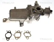 AGR-Ventil TRISCAN 8813 25048