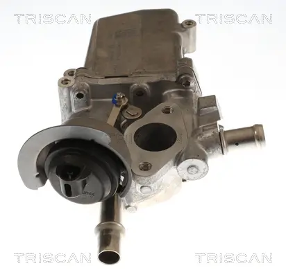 AGR-Ventil TRISCAN 8813 25048 Bild AGR-Ventil TRISCAN 8813 25048