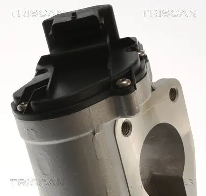 AGR-Ventil TRISCAN 8813 25201 Bild AGR-Ventil TRISCAN 8813 25201