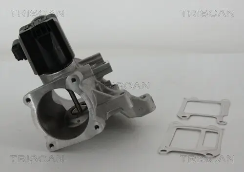 AGR-Ventil TRISCAN 8813 27102 Bild AGR-Ventil TRISCAN 8813 27102