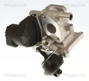 AGR-Ventil TRISCAN 8813 27106