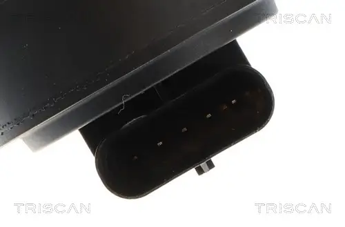 AGR-Ventil TRISCAN 8813 27106 Bild AGR-Ventil TRISCAN 8813 27106