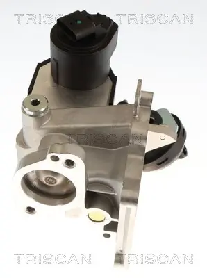 AGR-Ventil TRISCAN 8813 27106 Bild AGR-Ventil TRISCAN 8813 27106