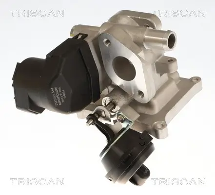 AGR-Ventil TRISCAN 8813 27106 Bild AGR-Ventil TRISCAN 8813 27106