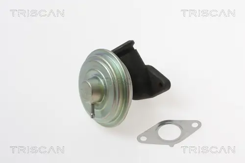 AGR-Ventil TRISCAN 8813 28017 Bild AGR-Ventil TRISCAN 8813 28017