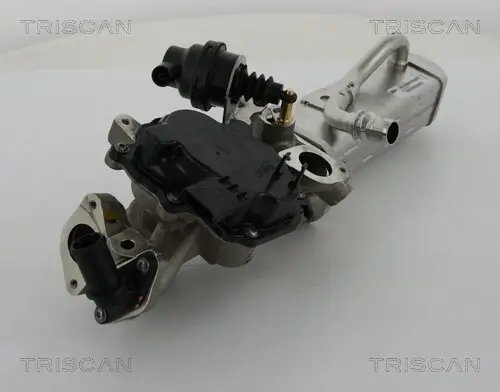 AGR-Ventil TRISCAN 8813 28044 Bild AGR-Ventil TRISCAN 8813 28044