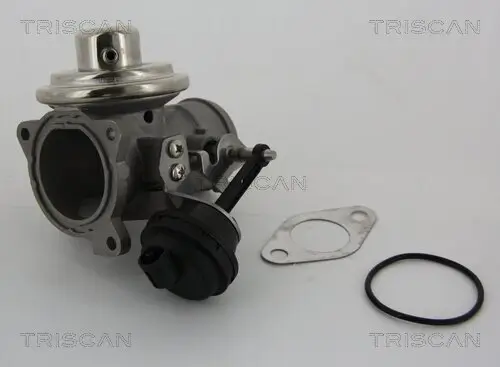 AGR-Ventil TRISCAN 8813 29001 Bild AGR-Ventil TRISCAN 8813 29001