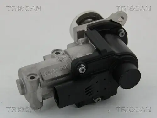 AGR-Ventil TRISCAN 8813 29002 Bild AGR-Ventil TRISCAN 8813 29002