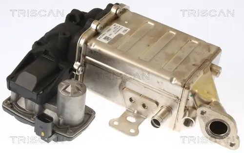 AGR-Ventil TRISCAN 8813 29006 Bild AGR-Ventil TRISCAN 8813 29006