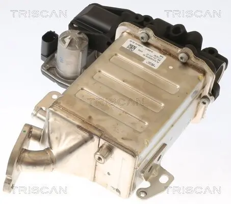 AGR-Ventil TRISCAN 8813 29006 Bild AGR-Ventil TRISCAN 8813 29006