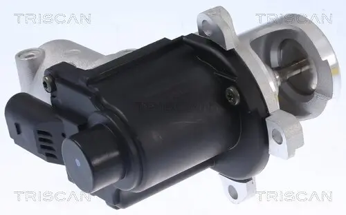 AGR-Ventil TRISCAN 8813 29015 Bild AGR-Ventil TRISCAN 8813 29015