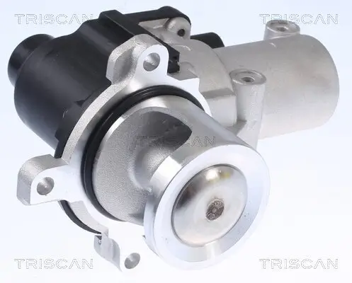 AGR-Ventil TRISCAN 8813 29015 Bild AGR-Ventil TRISCAN 8813 29015