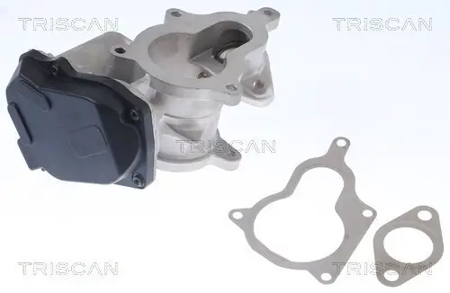 AGR-Ventil TRISCAN 8813 29019 Bild AGR-Ventil TRISCAN 8813 29019