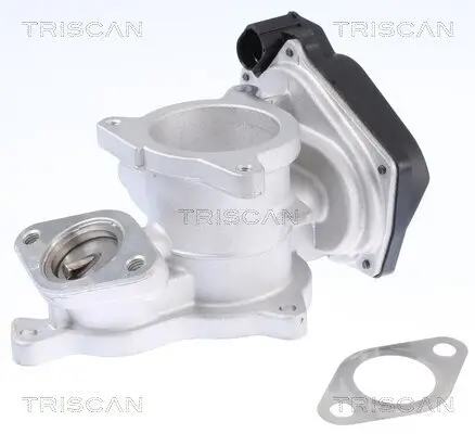 AGR-Ventil TRISCAN 8813 29019 Bild AGR-Ventil TRISCAN 8813 29019