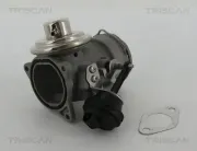 AGR-Ventil TRISCAN 8813 29036