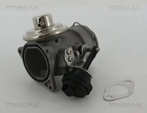 AGR-Ventil TRISCAN 8813 29036 Bild AGR-Ventil TRISCAN 8813 29036