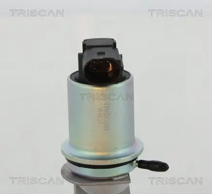 AGR-Ventil TRISCAN 8813 29066 Bild AGR-Ventil TRISCAN 8813 29066