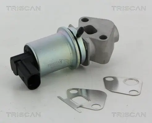 AGR-Ventil TRISCAN 8813 29066 Bild AGR-Ventil TRISCAN 8813 29066
