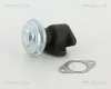 AGR-Ventil TRISCAN 8813 29067 Bild AGR-Ventil TRISCAN 8813 29067