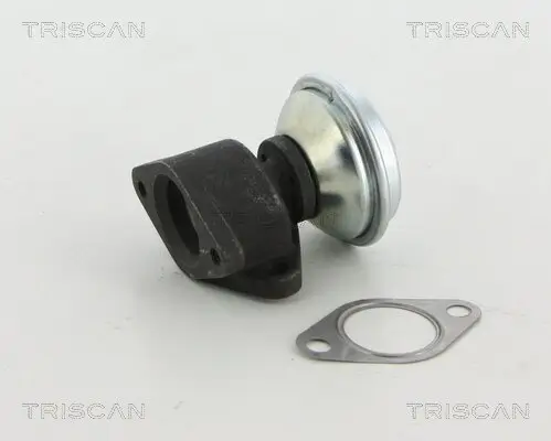 AGR-Ventil TRISCAN 8813 29067 Bild AGR-Ventil TRISCAN 8813 29067