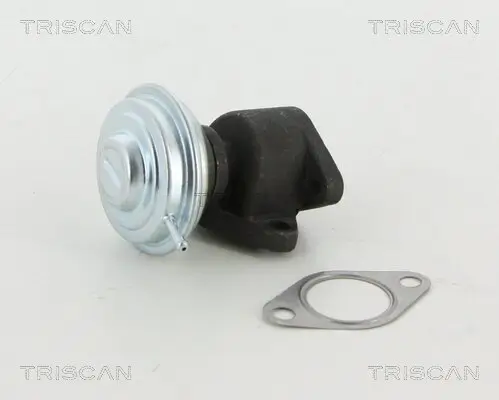 AGR-Ventil TRISCAN 8813 29067 Bild AGR-Ventil TRISCAN 8813 29067