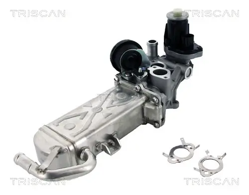 AGR-Ventil TRISCAN 8813 29102 Bild AGR-Ventil TRISCAN 8813 29102